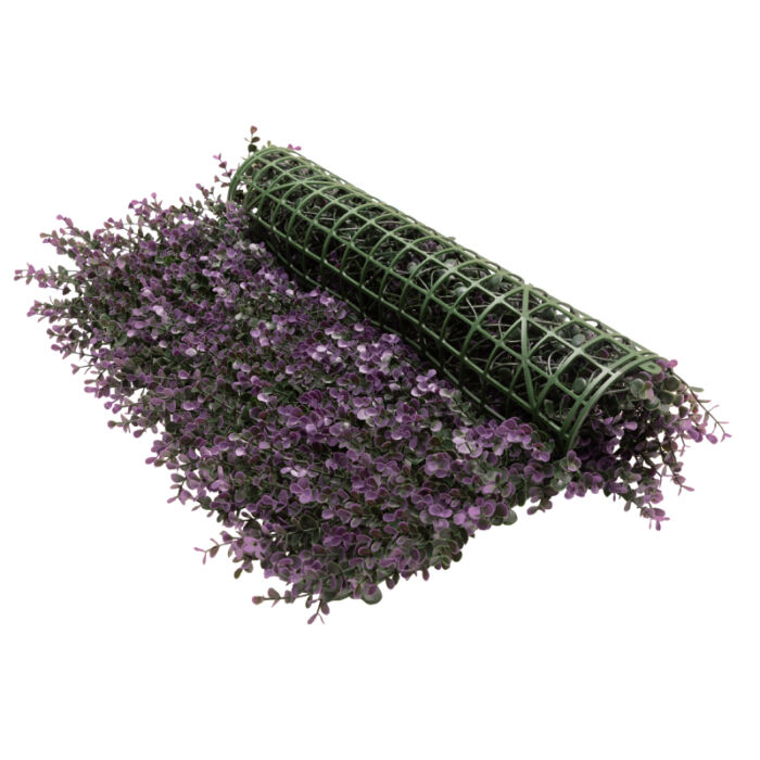 Purple Buxus - Image 3